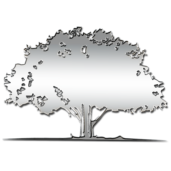 R. F. O. JOURNAL - R.F.O. | ROSSELLO FAMILY OFFICE JOURNAL
